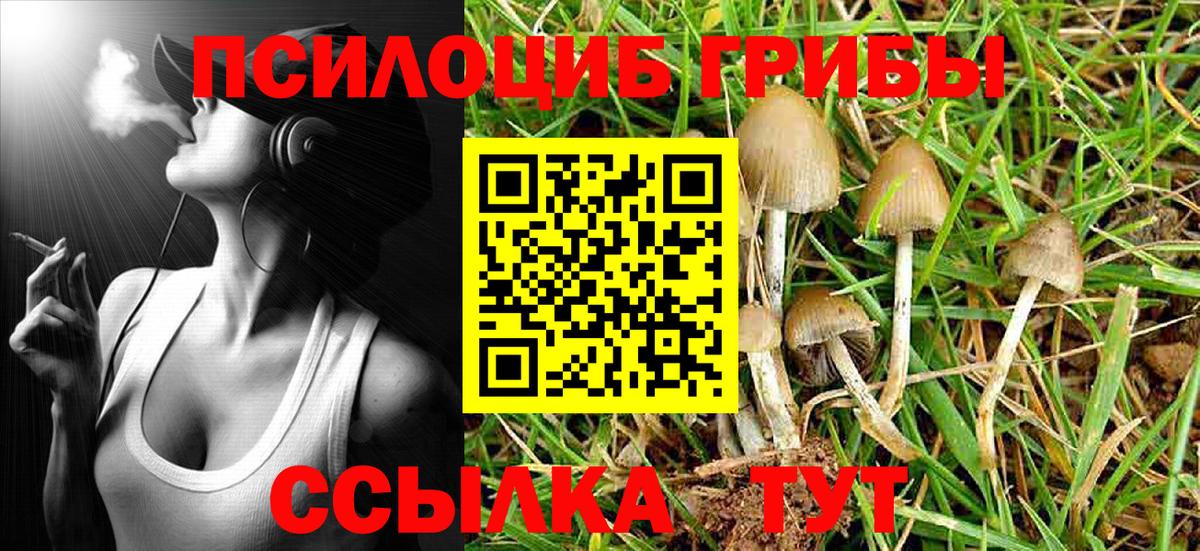 Алатырь  Псилоцибиновые грибы MAGIC MUSHROOMS  Вход с VPN 