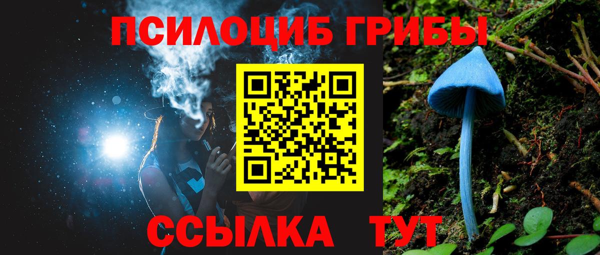 Галлюциногенные грибы прущие грибы Алатырь